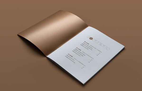 上海公司畫冊印刷配合企業的品牌營銷  第2張